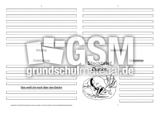 Dachs-Faltbuch-vierseitig-1.pdf